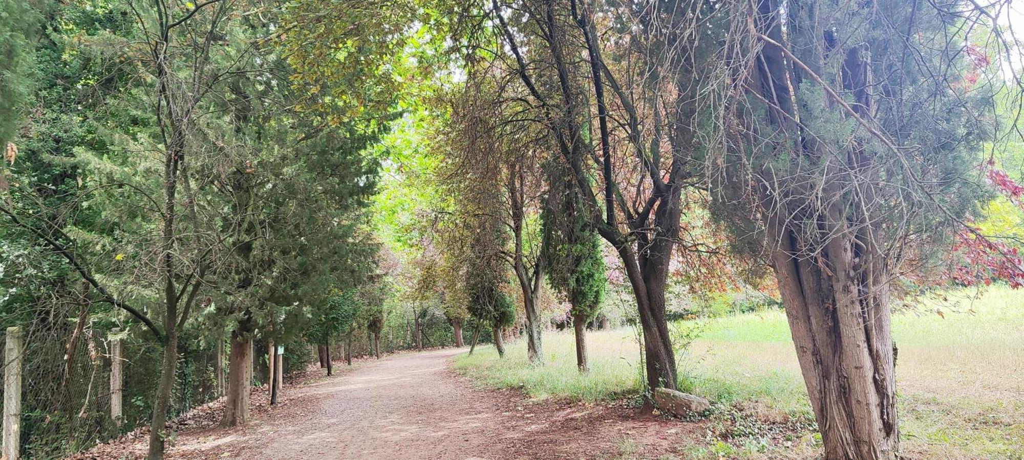 Ferienwohnung Piso Rural Sol Bergueda Aviá Exterior foto